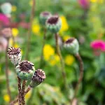 Manoir De Coulandon Argentan