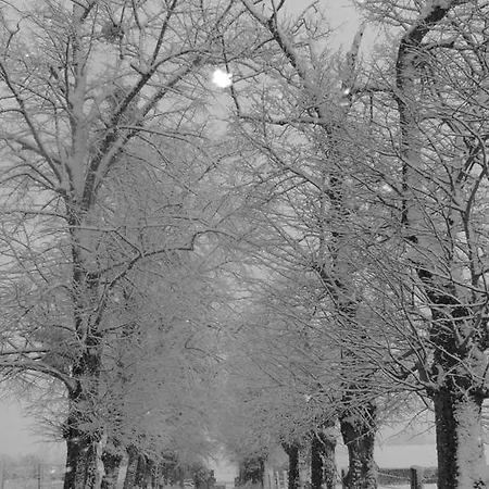 Gasthof Manoir De Coulandon