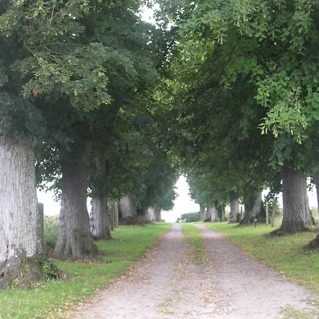 Manoir De Coulandon