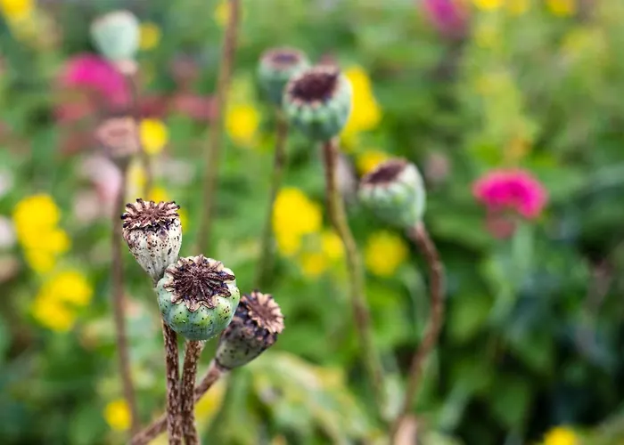 Manoir De Coulandon Argentan