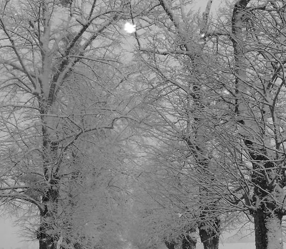 بيت ضيافة Manoir De Coulandon