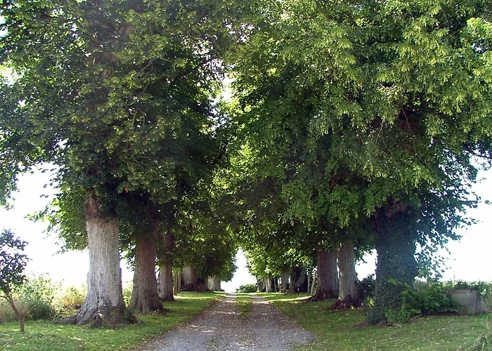 Manoir De Coulandon 3* أرجينتان