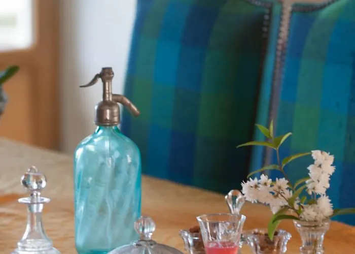 Manoir De Coulandon بيت ضيافة أرجينتان