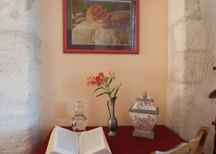 Manoir De Coulandon Konukevi