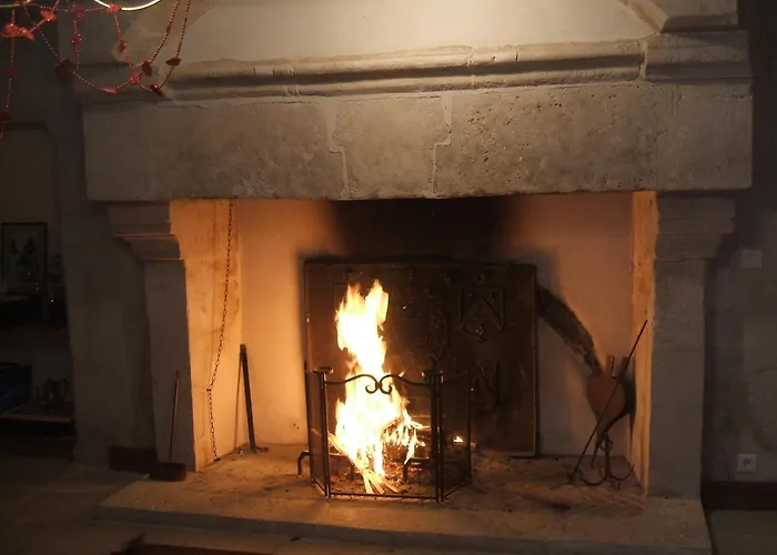 Manoir De Coulandon بيت ضيافة