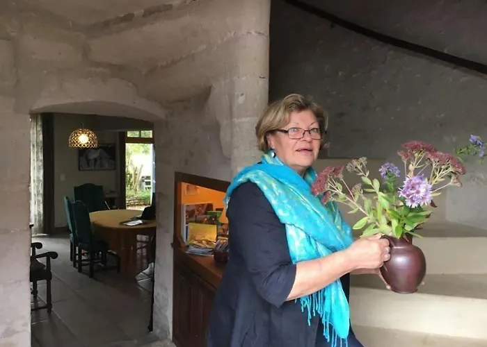 Manoir De Coulandon بيت ضيافة