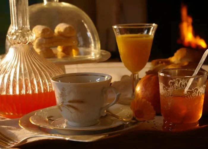 بيت ضيافة Manoir De Coulandon 3*