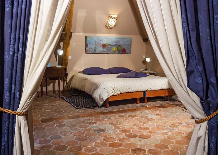 بيت ضيافة Manoir De Coulandon 3*