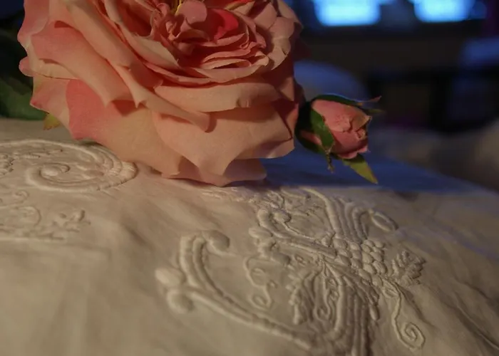 بيت ضيافة Manoir De Coulandon 3*